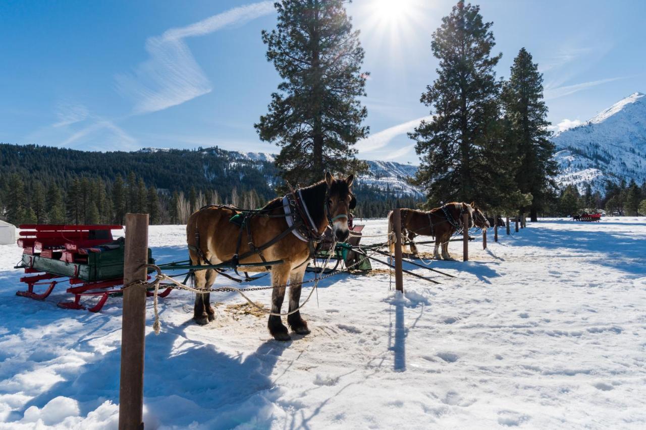 Aspen Suites 505: Enchantment Abode Leavenworth Ngoại thất bức ảnh